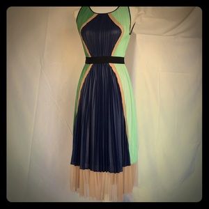 BCBG Brand New Pleated Dress